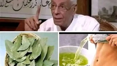 معجزة ورق الغار ستجعل بطنك مسطحا وشعرك كثيف خالي من الشيب ووجهك أبيض