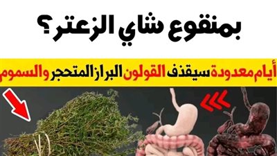 كيف أنظف القولون بالبيت بمنقوع شاي الزعتر؟