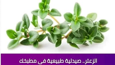 الزعتر من الأعشاب التي تستخدم لعلاج مجموعة من الأعراض والشكاوى الصحية وتشمل الإسهال وآلام المعدة والتهاب المفاصل والتهاب الحلق. 