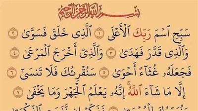 ما معنى قوله تعالى: فجعله غثاء أحوى ؟
