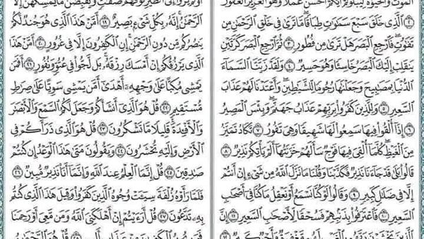 لمحة نيوز