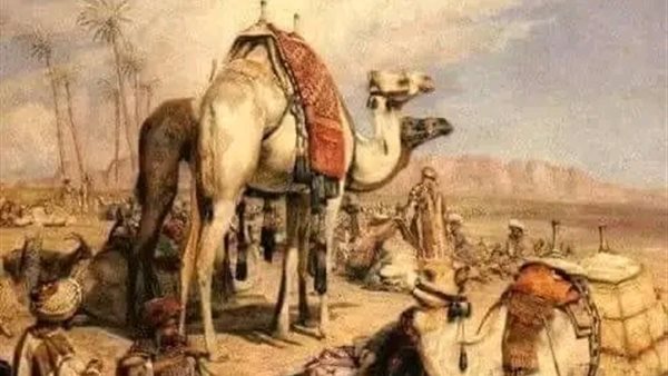 لمحة نيوز