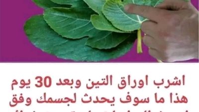 فوائد اوراق التين
