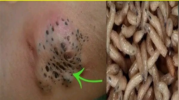 لمحة نيوز