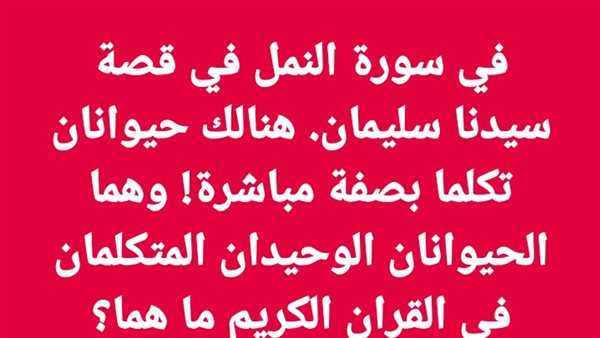 لمحة نيوز