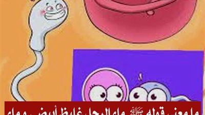 ما معنى قوله ﷺ ماء الرجل غليظ أبيض ، و ماء المرأة رقيق أصفر ، فأيهما سبق أشبهه الولد ؟ 