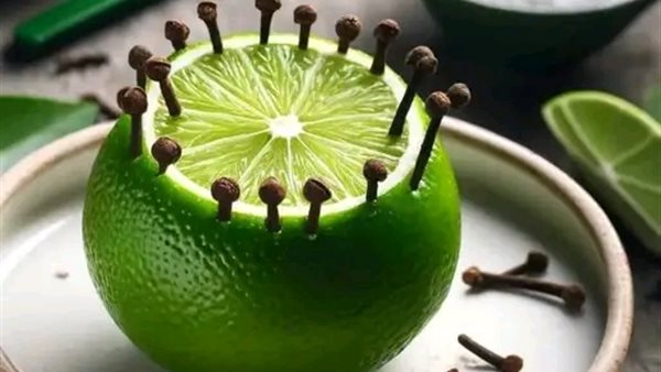 لمحة نيوز