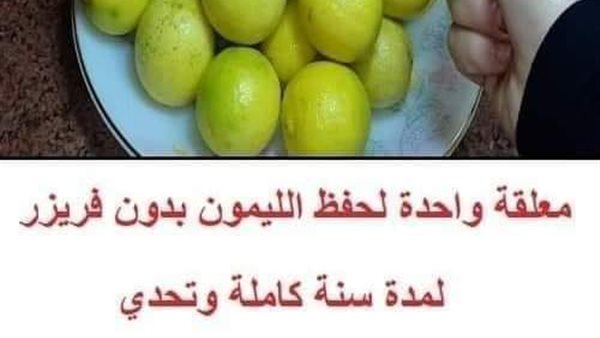 لمحة نيوز