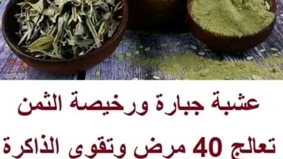 عشبه جبارة ورخيصه الثمن تعالج 40 ومرض وتقوي الذاكرة والتركيز والمخ سهله وسريعه 