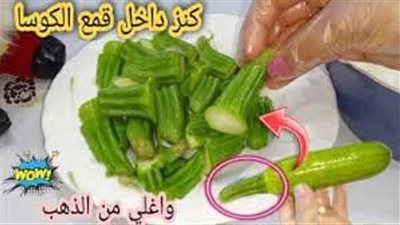 فوائد قمع الكوسة